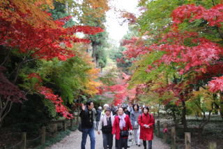 ＦｕｋｕｓｈｉＴｒｉｐ2017-3