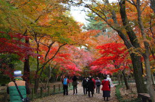 ＦｕｋｕｓｈｉＴｒｉｐ2017-4