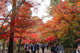 ＦｕｋｕｓｈｉＴｒｉｐ2017-5