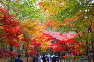 ＦｕｋｕｓｈｉＴｒｉｐ2017-6