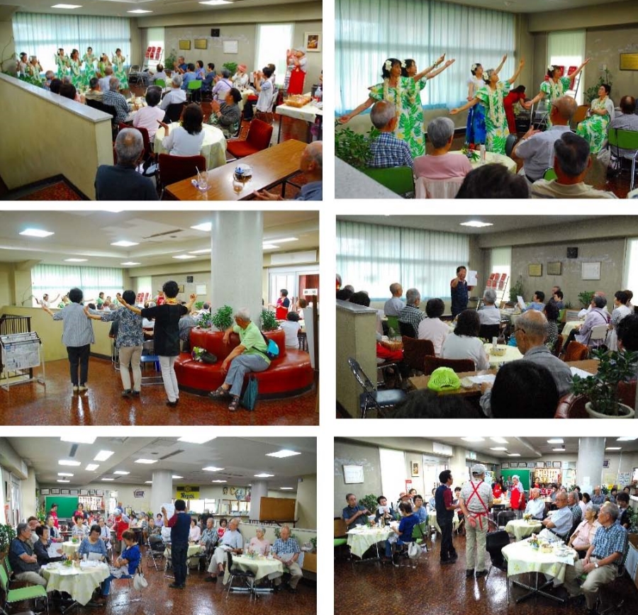 フラダンス６枚